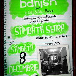 Concert Banish: Sambata seara 8 decembrie