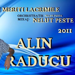 alin raducu