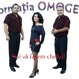 Formaţia OMOGEN